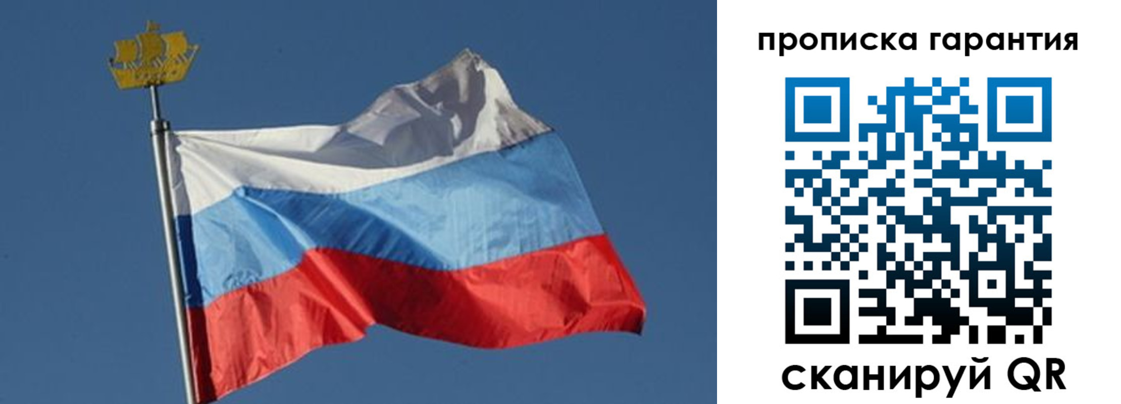 прописка для работы в Сольцах